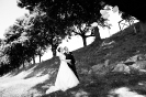 Hochzeiten